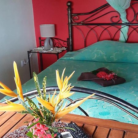 Bungalow Mangifera Proche De La Plage Le Diamant Eksteriør bilde