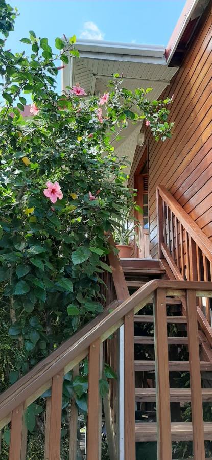 Bungalow Mangifera Proche De La Plage Le Diamant Eksteriør bilde