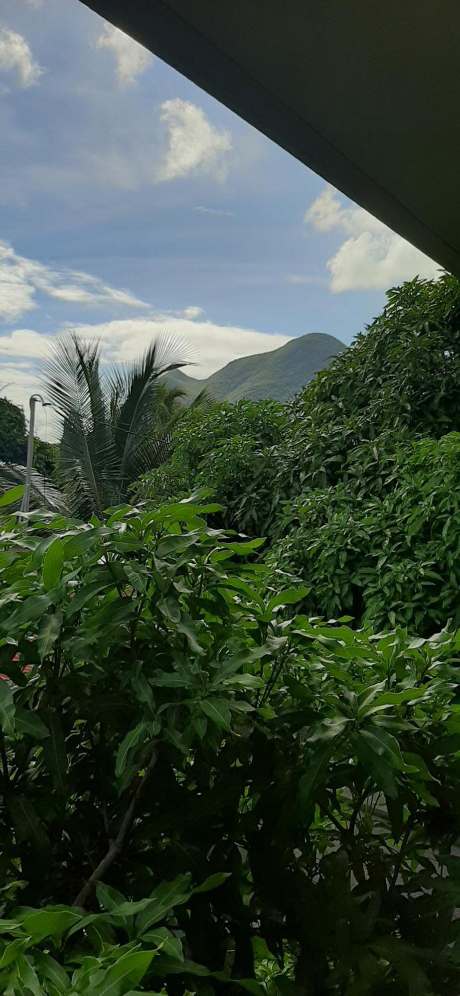 Bungalow Mangifera Proche De La Plage Le Diamant Eksteriør bilde